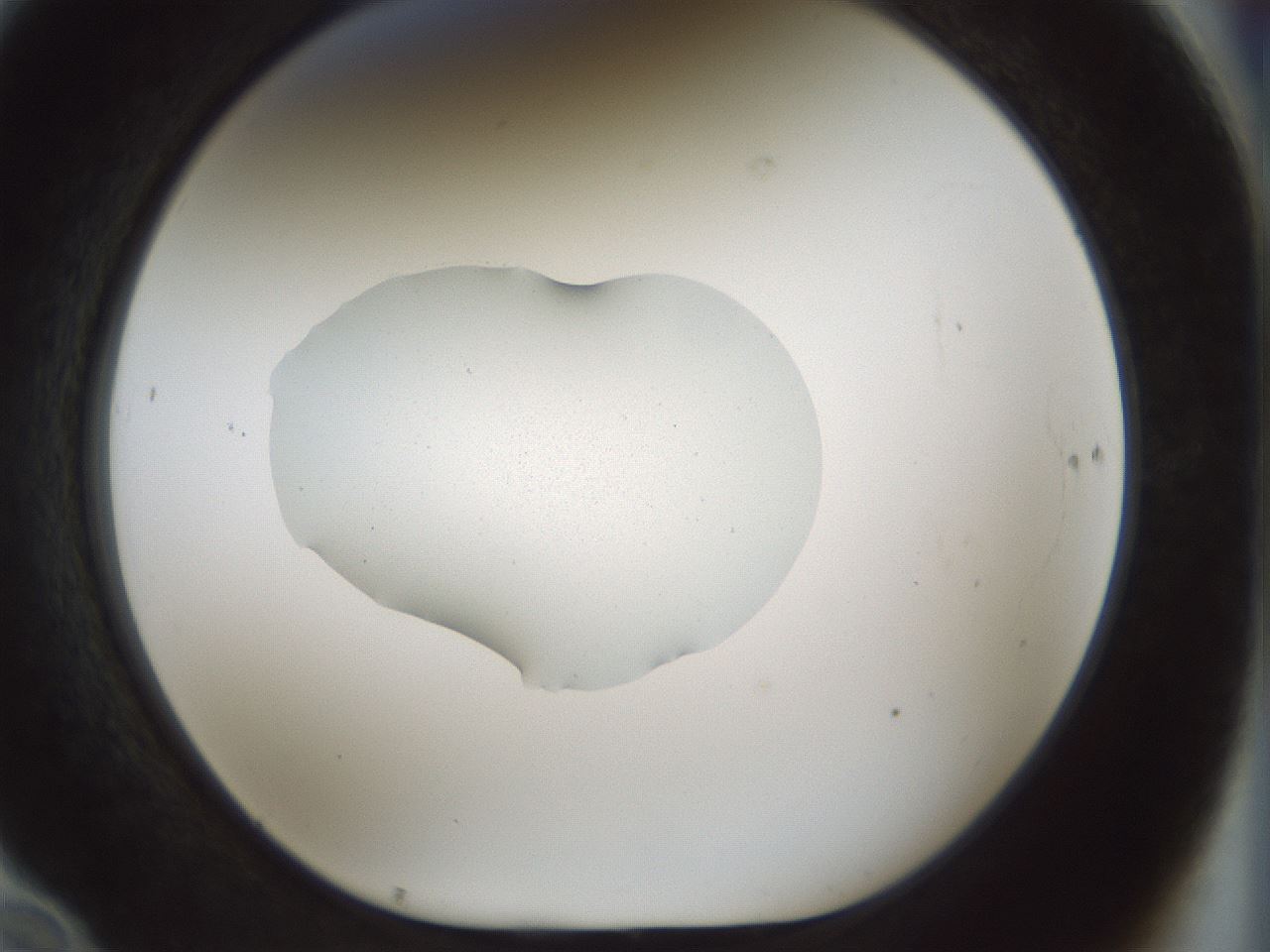 folderID510_plateID1510_batchID5907_wellNum70_profileID1_d1_r95702_ef.jpg