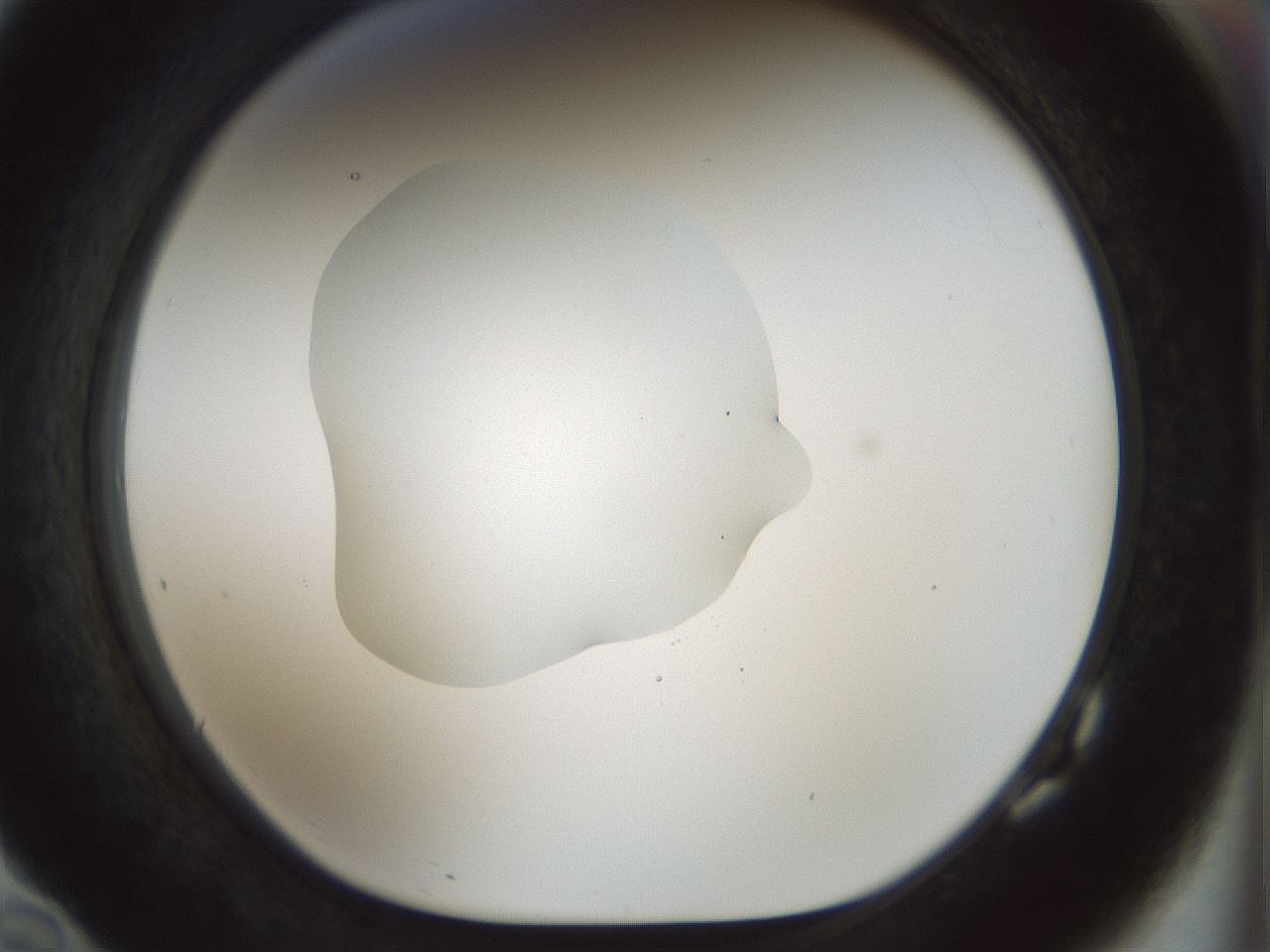 folderID510_plateID1510_batchID5907_wellNum82_profileID1_d1_r95714_ef.jpg