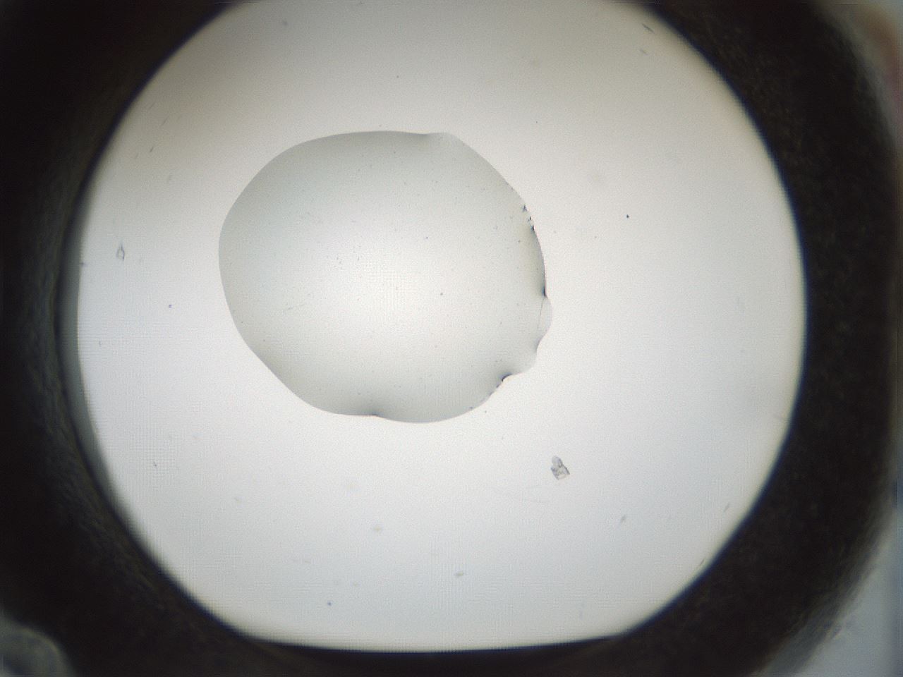 folderID510_plateID1510_batchID5907_wellNum84_profileID1_d1_r95716_ef.jpg