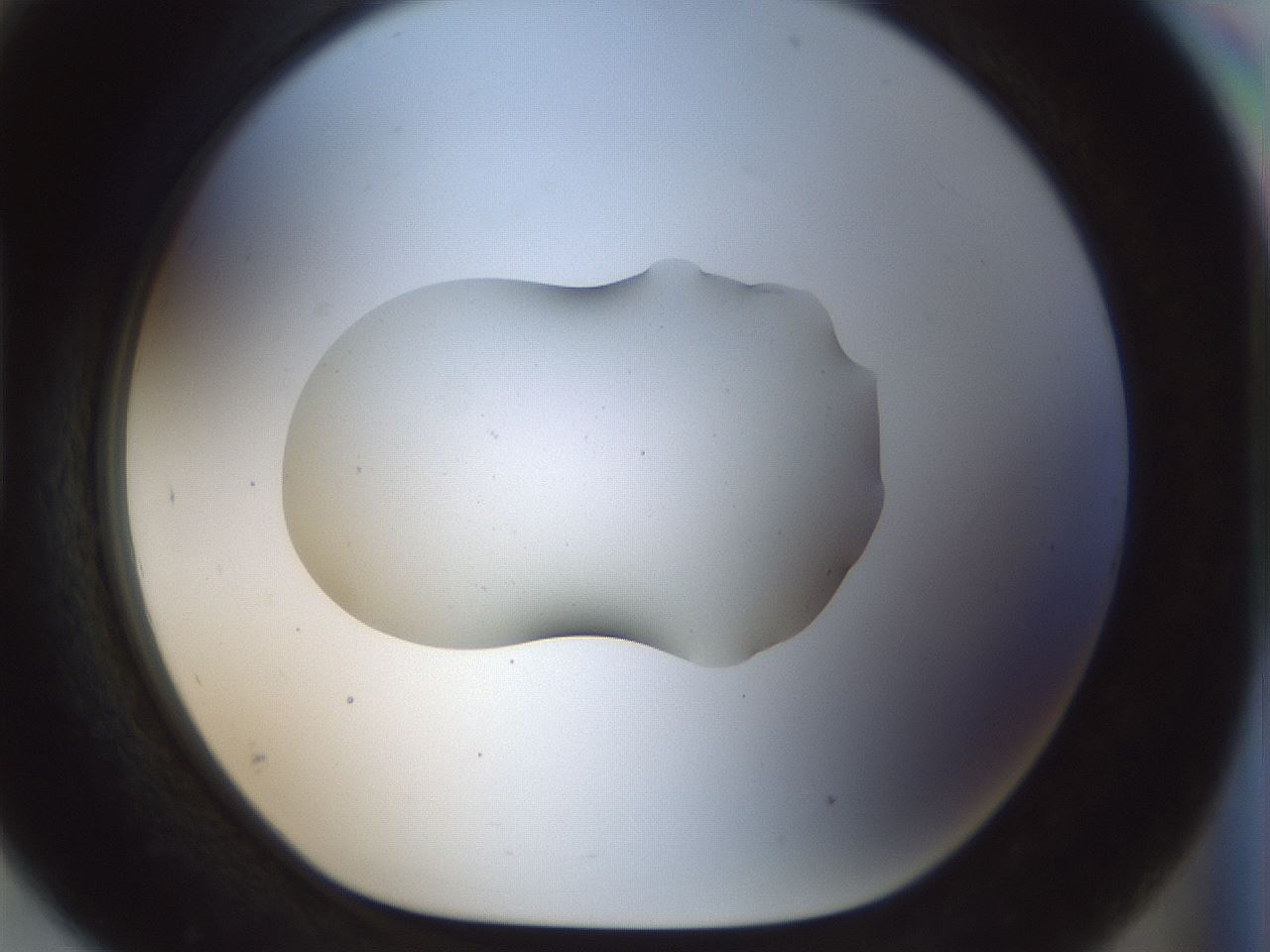 folderID510_plateID1510_batchID5907_wellNum93_profileID1_d1_r95725_ef.jpg