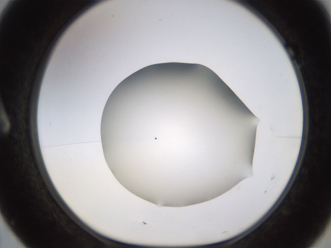 folderID518_plateID1518_batchID5983_wellNum7_profileID1_d1_r97271_ef.jpg