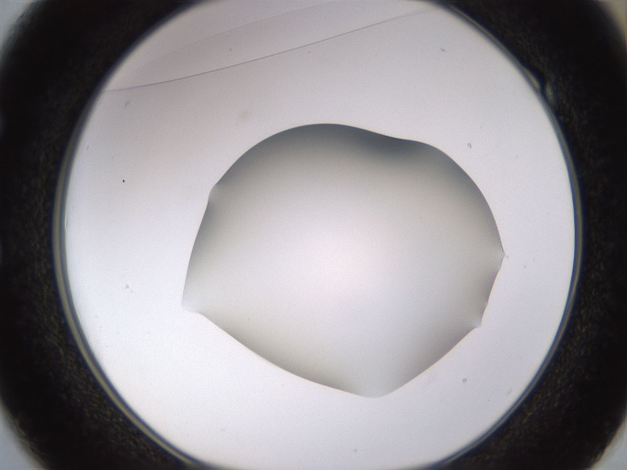 folderID518_plateID1518_batchID5983_wellNum49_profileID1_d1_r97313_ef.jpg