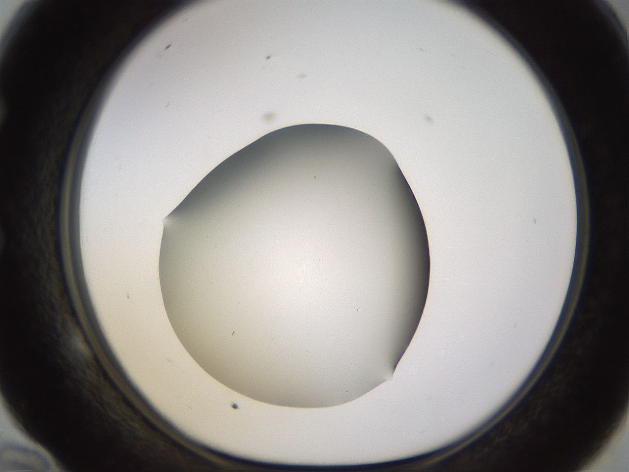 folderID518_plateID1518_batchID5983_wellNum58_profileID1_d1_r97322_ef.jpg