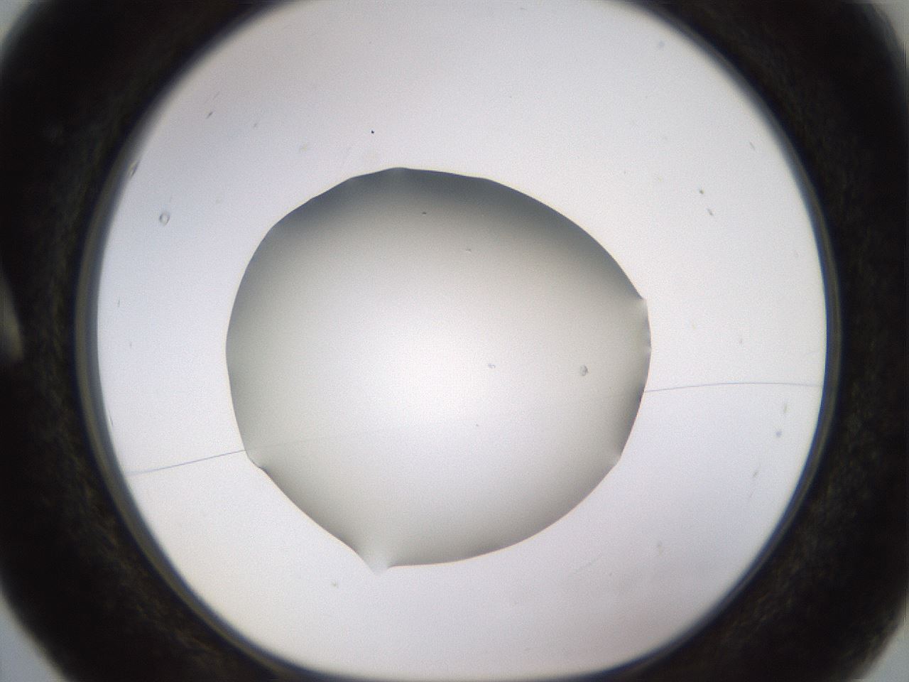 folderID518_plateID1518_batchID5983_wellNum5_profileID1_d1_r97269_ef.jpg