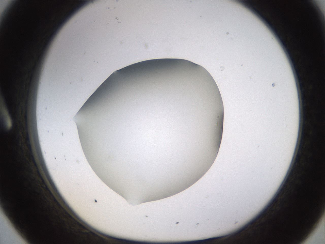 folderID518_plateID1518_batchID5983_wellNum8_profileID1_d1_r97272_ef.jpg