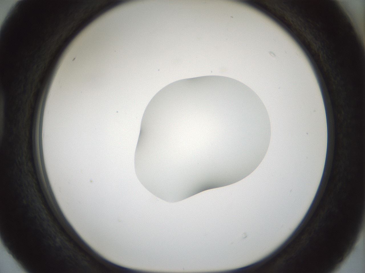 folderID512_plateID1512_batchID5852_wellNum40_profileID1_d1_r95864_ef.jpg
