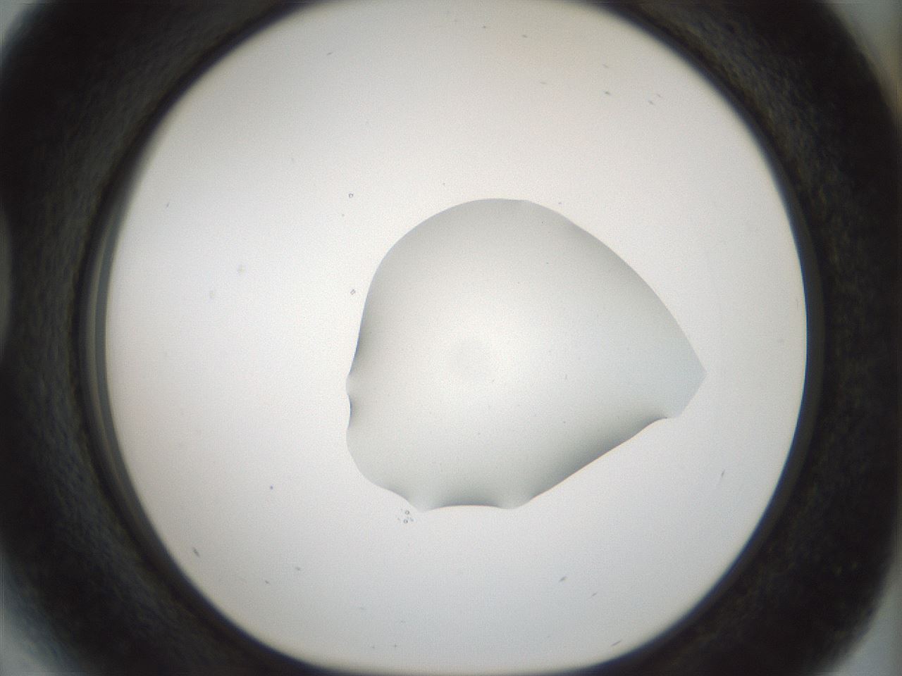 folderID512_plateID1512_batchID5852_wellNum41_profileID1_d1_r95865_ef.jpg
