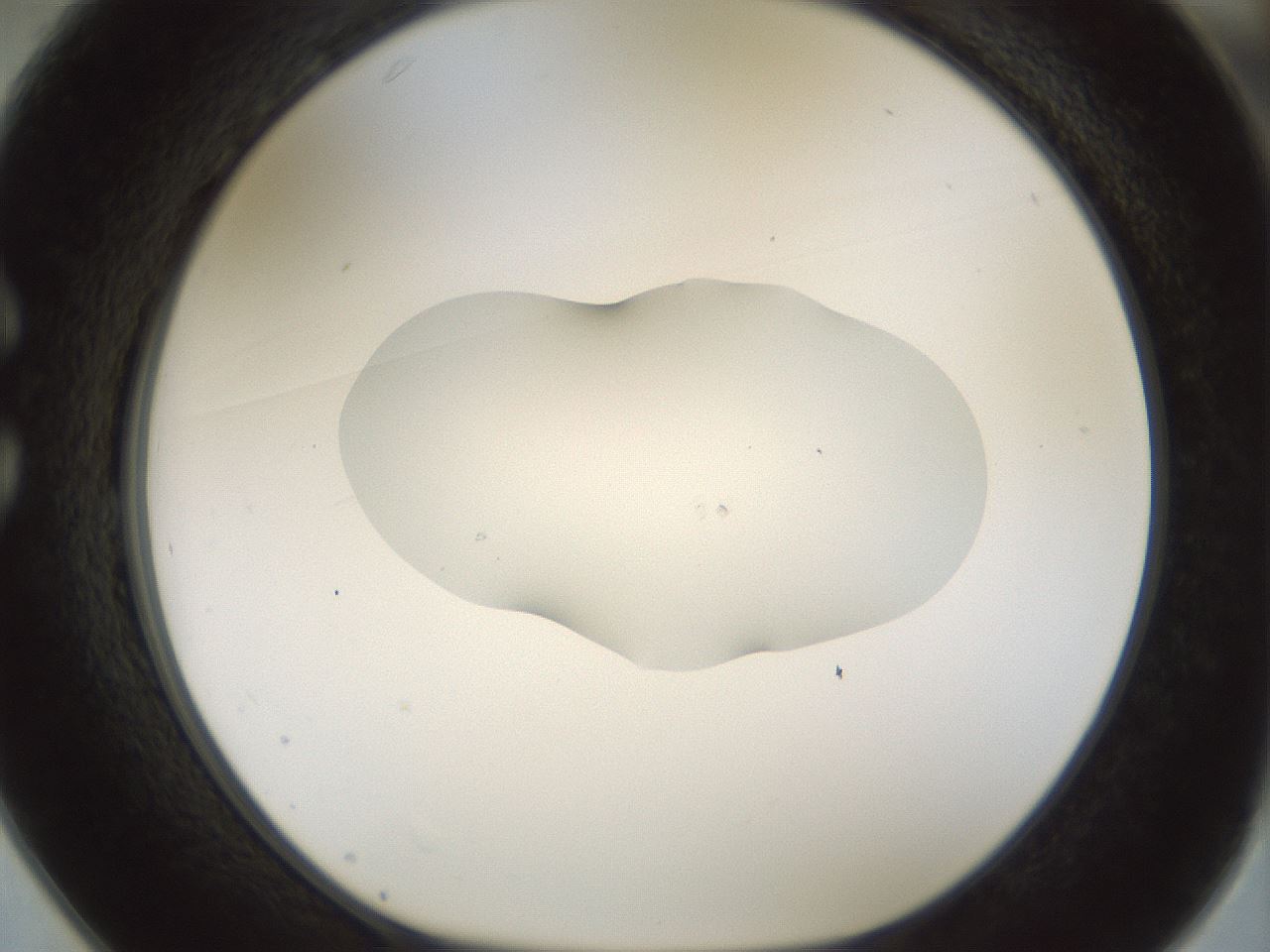 folderID510_plateID1510_batchID5940_wellNum25_profileID1_d1_r95657_ef.jpg