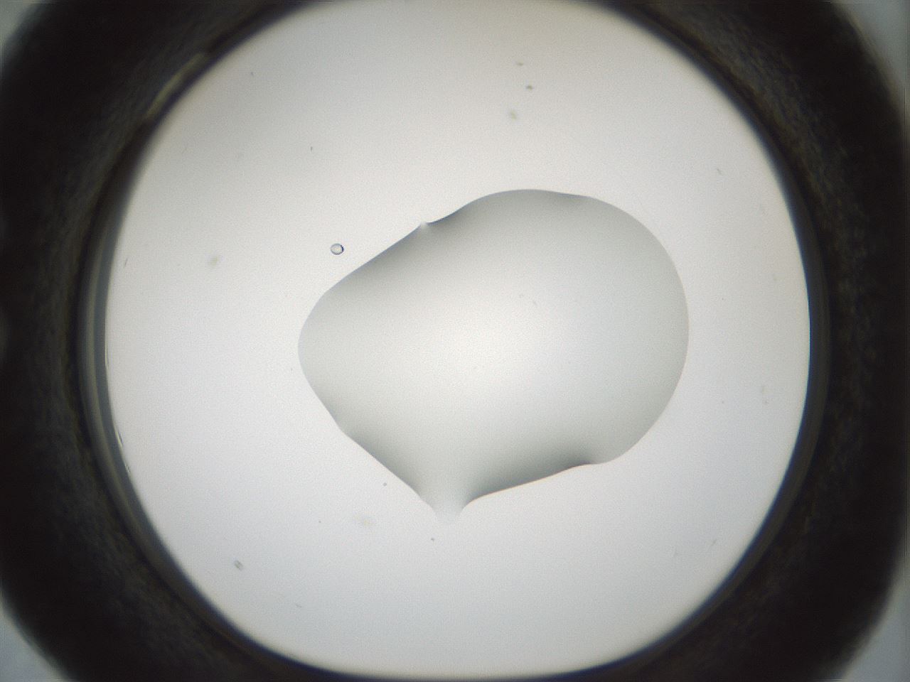 folderID510_plateID1510_batchID5907_wellNum28_profileID1_d1_r95660_ef.jpg