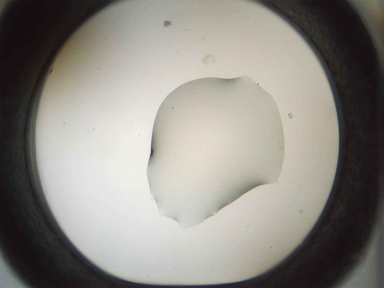 folderID510_plateID1510_batchID5907_wellNum44_profileID1_d1_r95676_ef.jpg