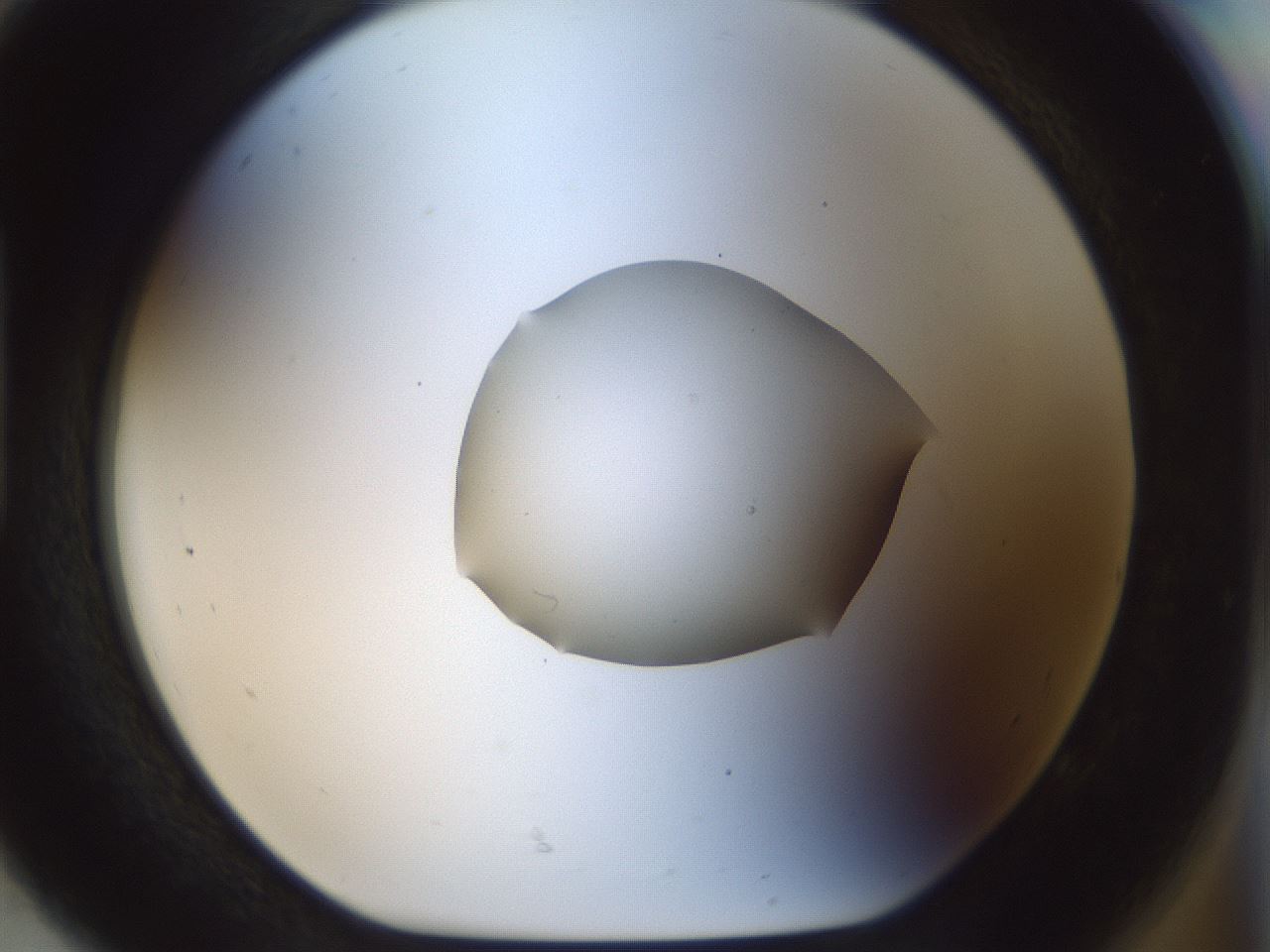 folderID512_plateID1512_batchID5852_wellNum92_profileID1_d1_r95916_ef.jpg