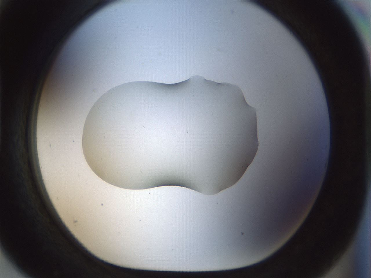 folderID510_plateID1510_batchID5873_wellNum93_profileID1_d1_r95725_ef.jpg