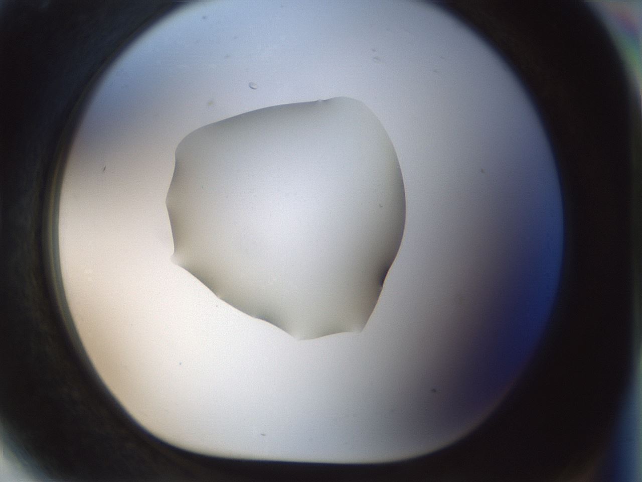 folderID510_plateID1510_batchID5873_wellNum81_profileID1_d1_r95713_ef.jpg