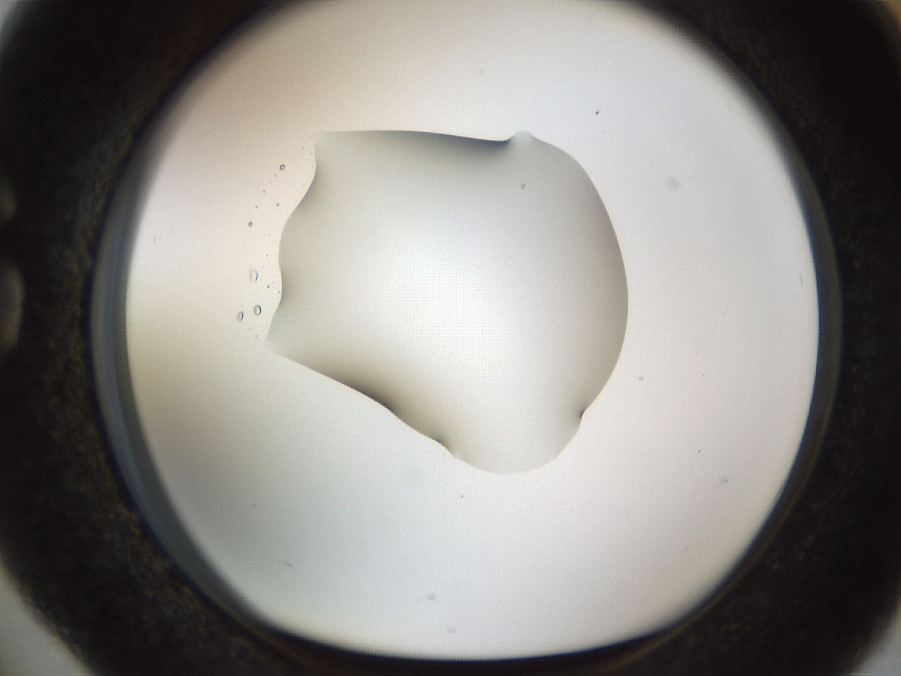 folderID511_plateID1511_batchID5941_wellNum76_profileID1_d1_r95804_ef.jpg