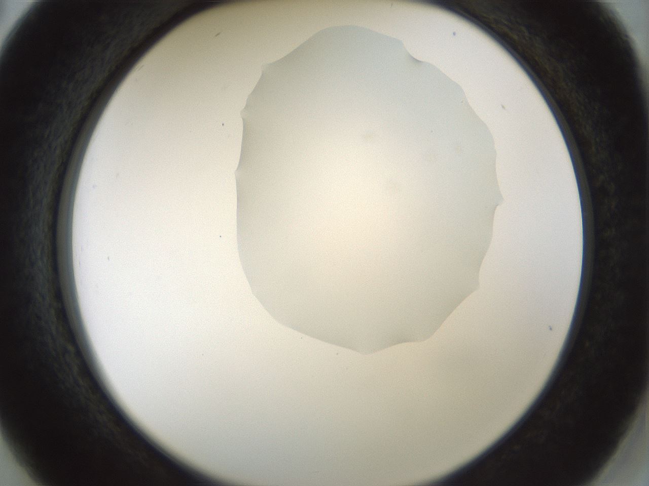 folderID514_plateID1514_batchID5855_wellNum26_profileID1_d2_r96644_ef.jpg