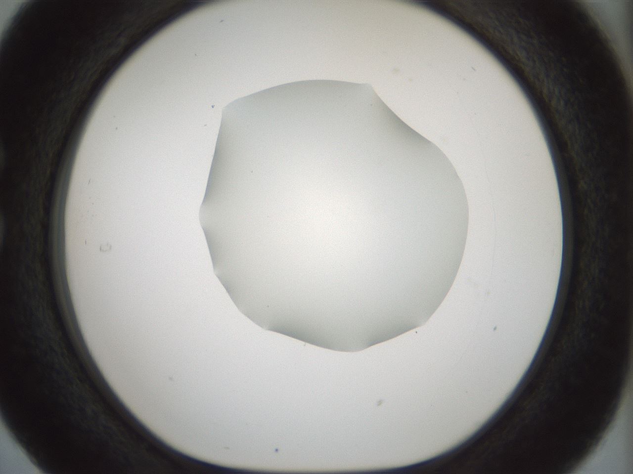 folderID514_plateID1514_batchID5855_wellNum29_profileID1_d1_r96649_ef.jpg