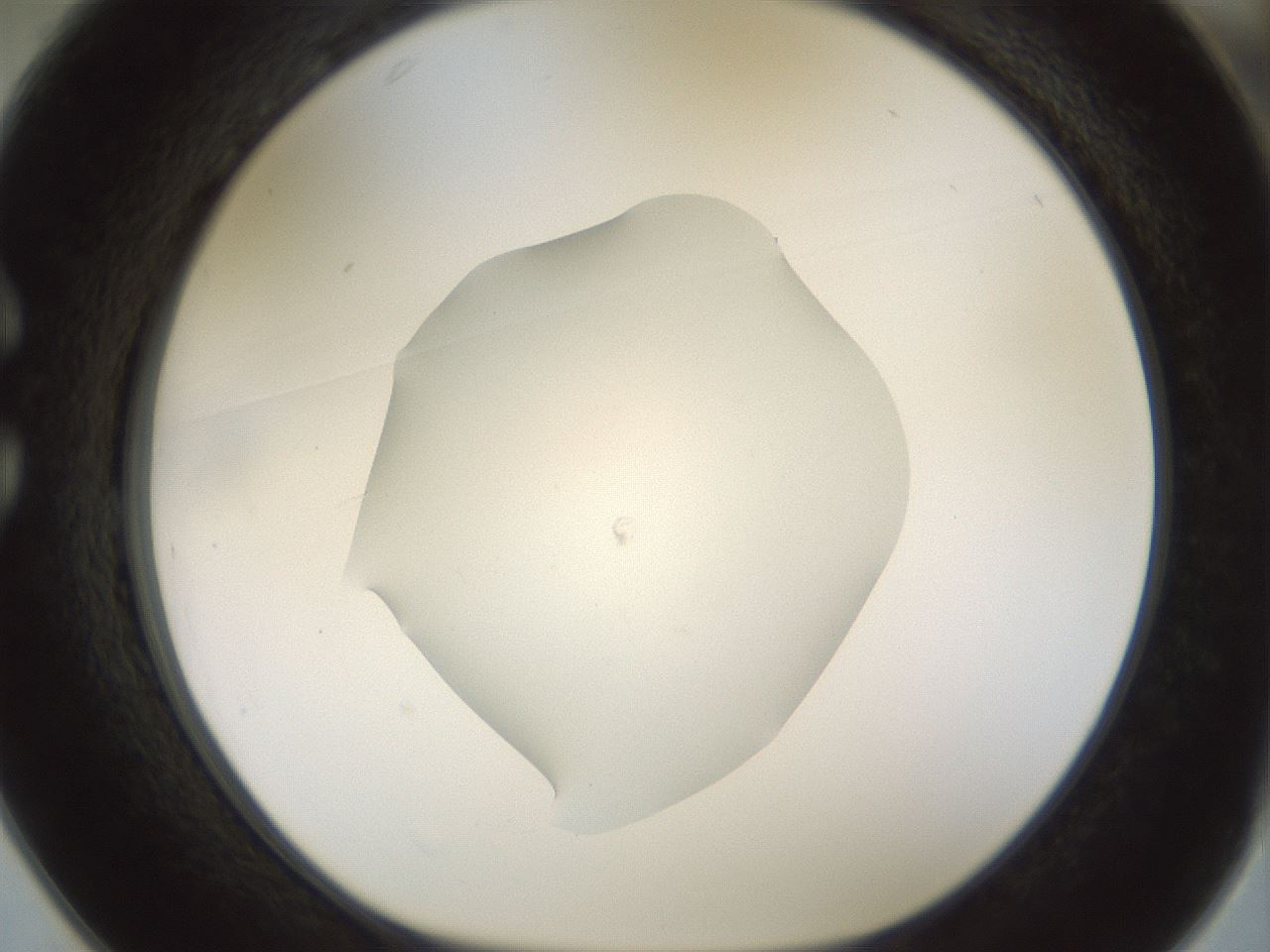 folderID514_plateID1514_batchID5949_wellNum25_profileID1_d1_r96641_ef.jpg
