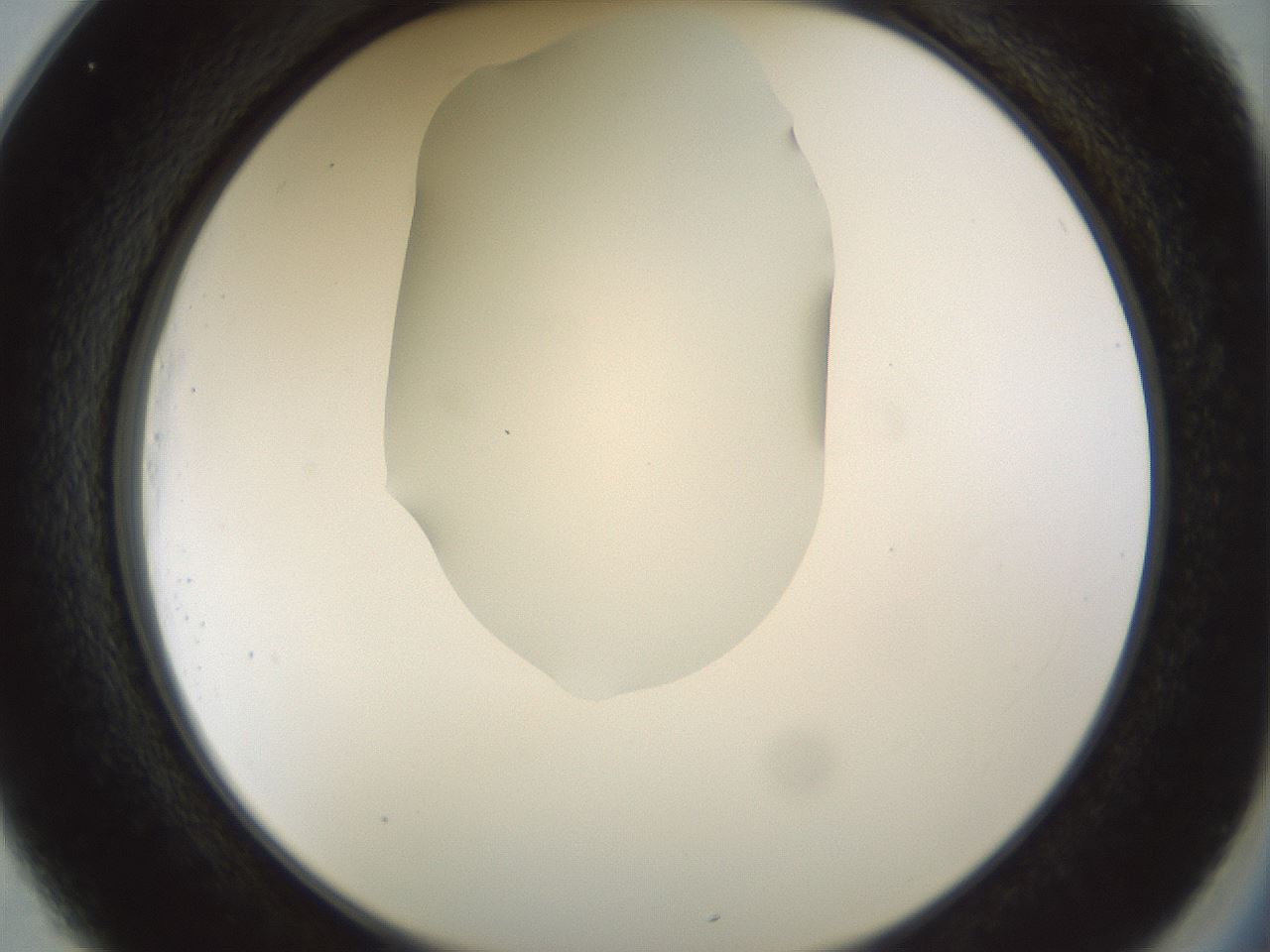 folderID514_plateID1514_batchID5949_wellNum25_profileID1_d2_r96642_ef.jpg