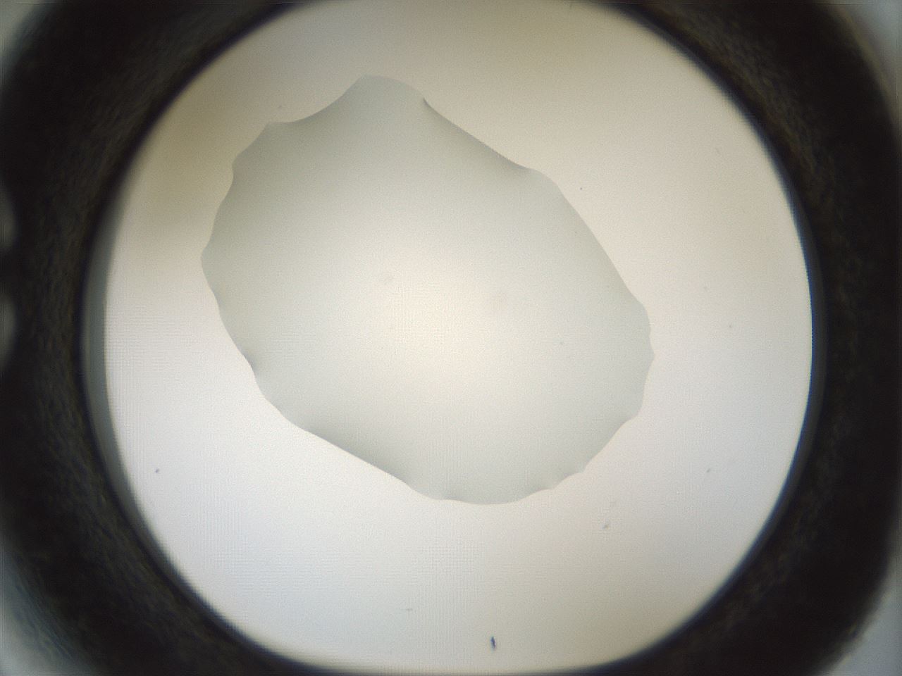 folderID514_plateID1514_batchID5949_wellNum27_profileID1_d1_r96645_ef.jpg