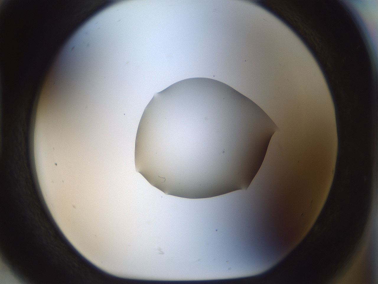 folderID512_plateID1512_batchID5875_wellNum92_profileID1_d1_r95916_ef.jpg