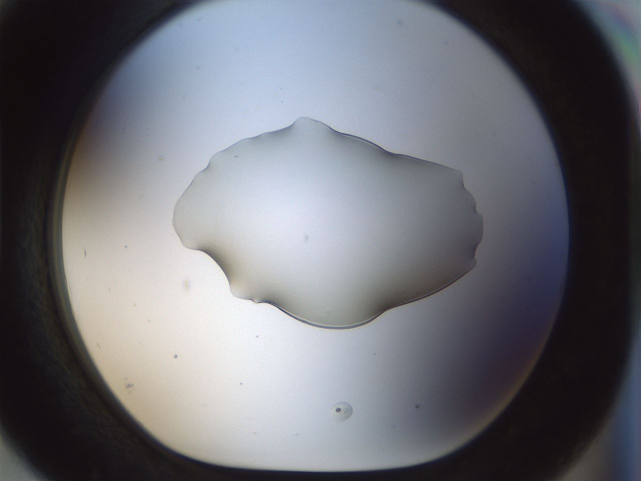 folderID512_plateID1512_batchID5875_wellNum93_profileID1_d1_r95917_ef.jpg