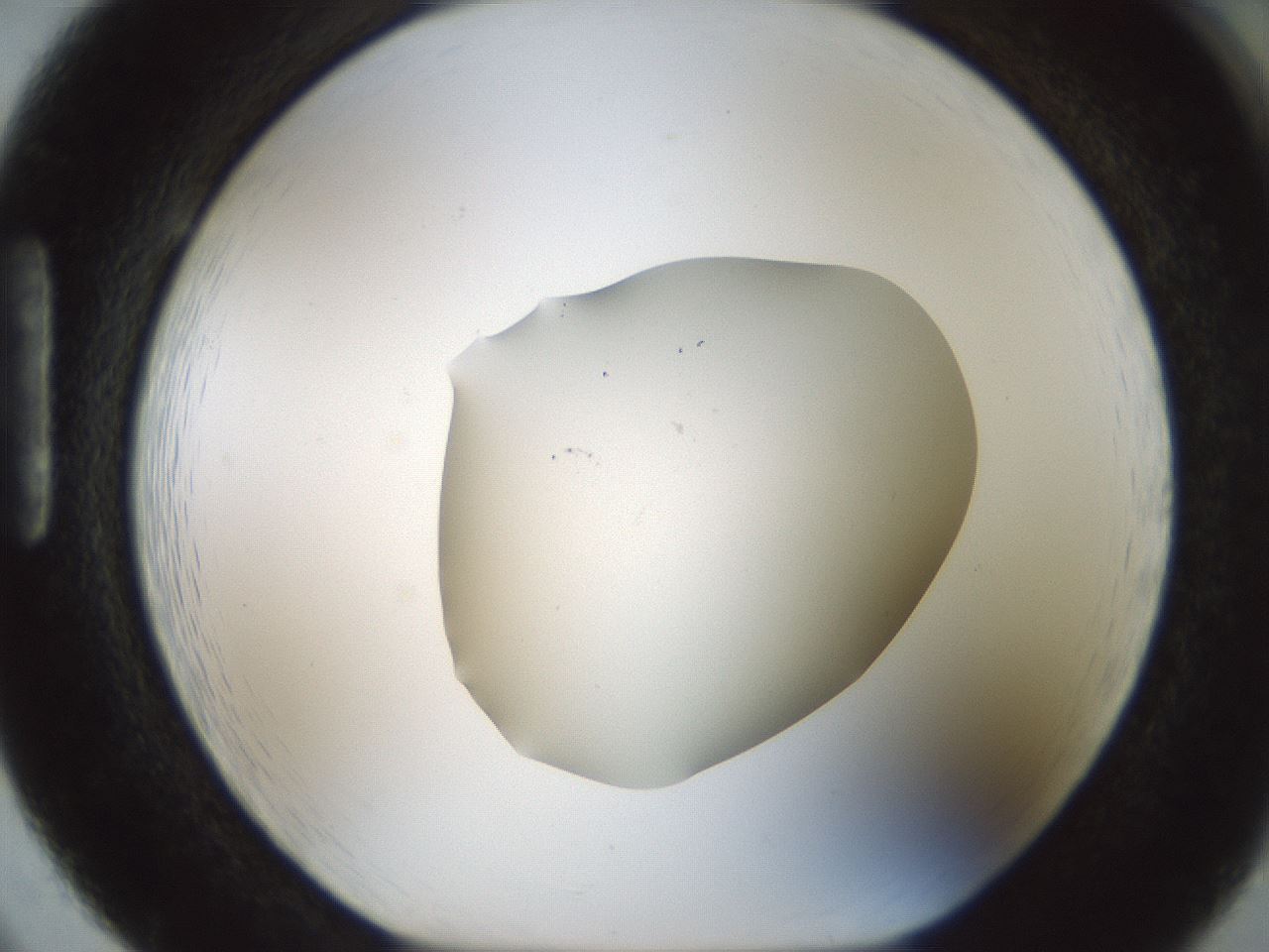 folderID514_plateID1514_batchID5915_wellNum86_profileID1_d1_r96763_ef.jpg