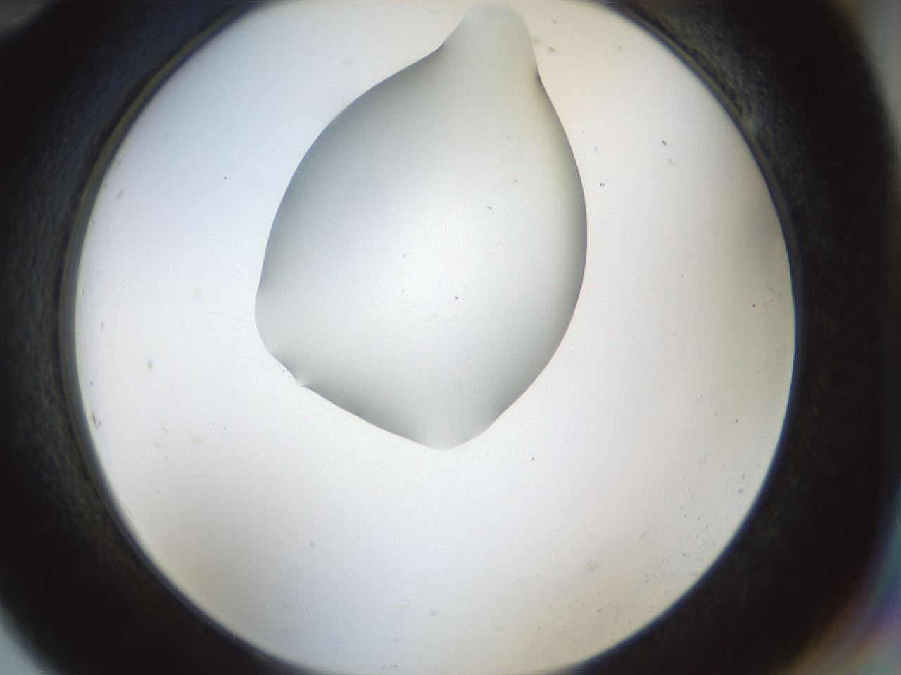 folderID514_plateID1514_batchID5915_wellNum94_profileID1_d2_r96780_ef.jpg