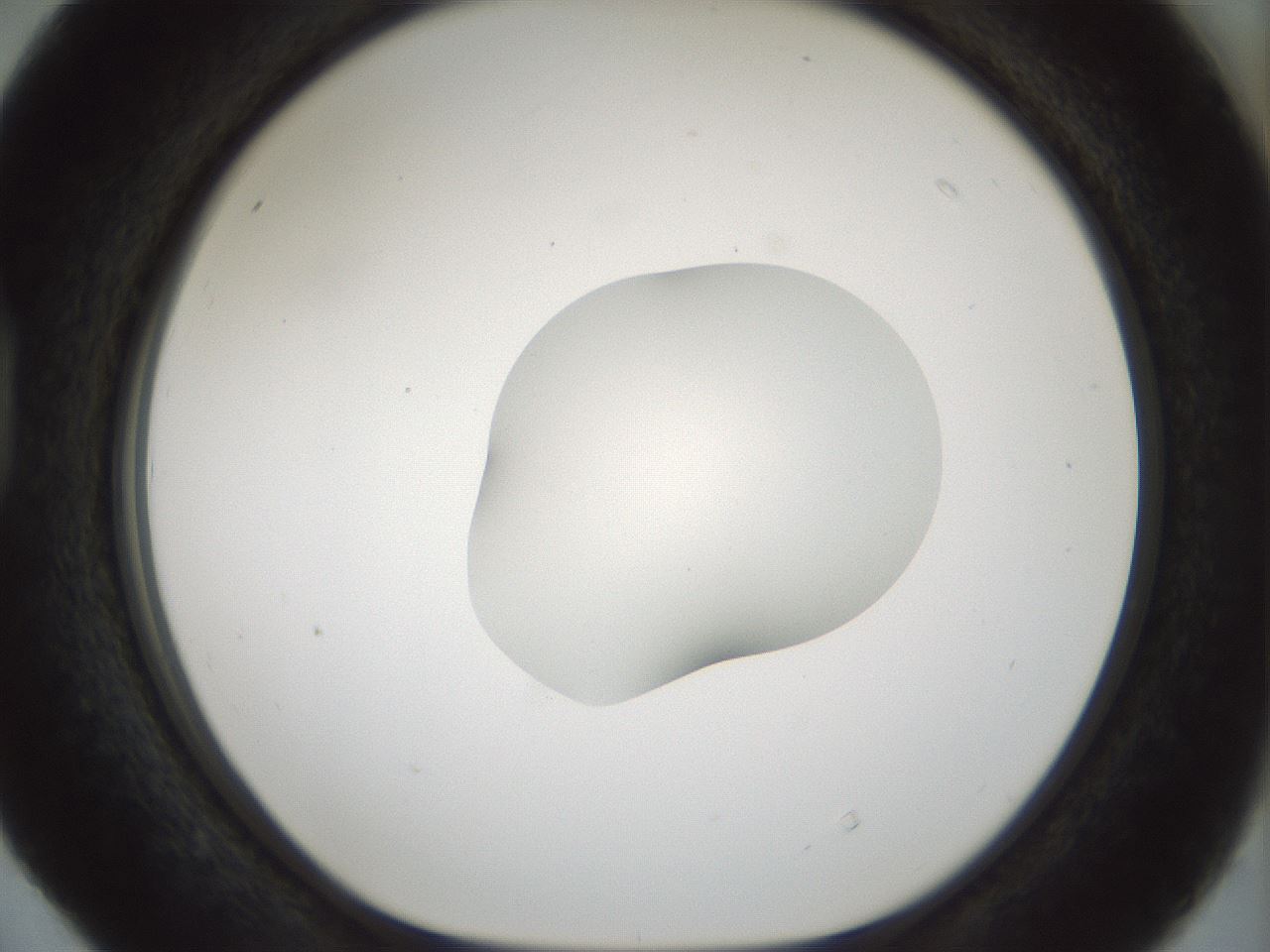 folderID512_plateID1512_batchID5909_wellNum40_profileID1_d1_r95864_ef.jpg