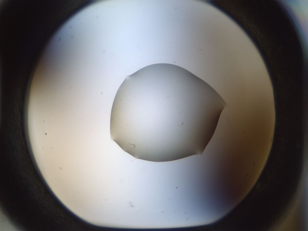 folderID512_plateID1512_batchID5909_wellNum92_profileID1_d1_r95916_ef.jpg
