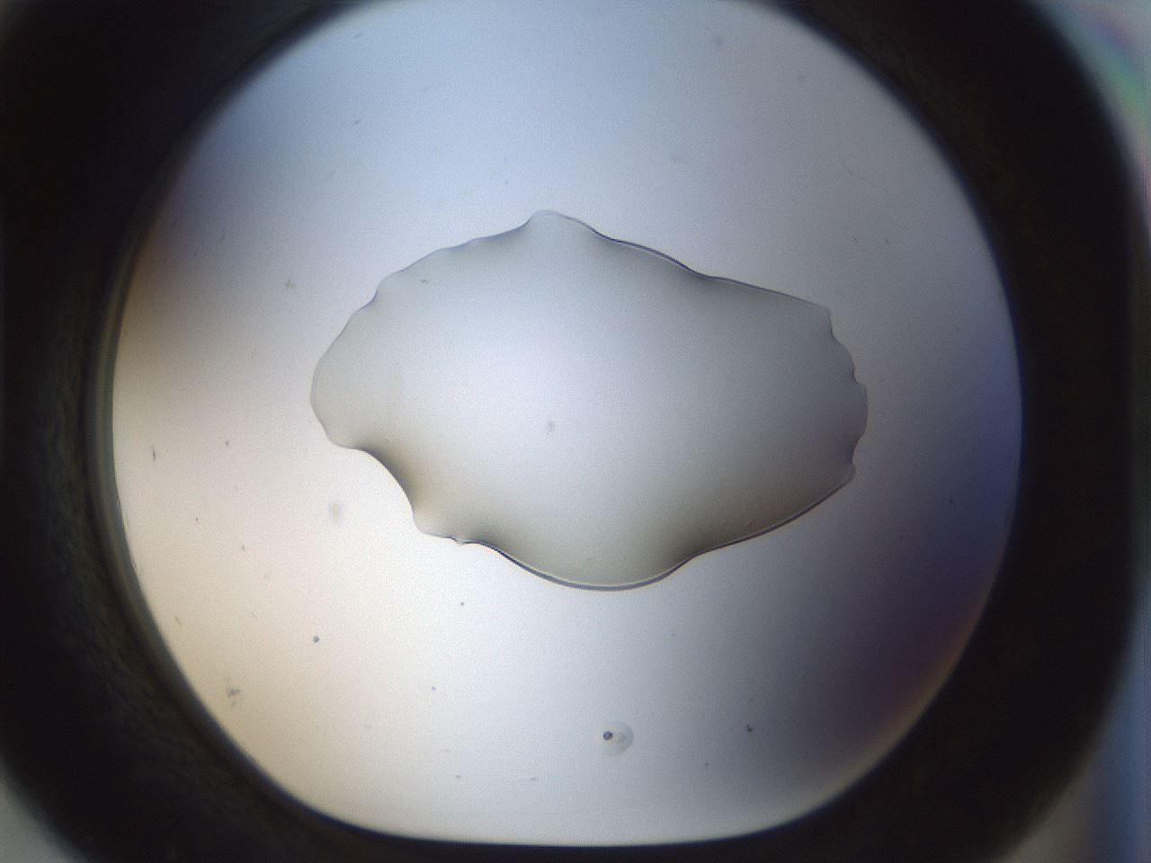 folderID512_plateID1512_batchID5909_wellNum93_profileID1_d1_r95917_ef.jpg
