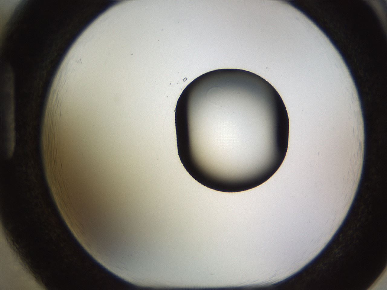 folderID513_plateID1513_batchID5943_wellNum85_profileID1_d1_r96005_ef.jpg