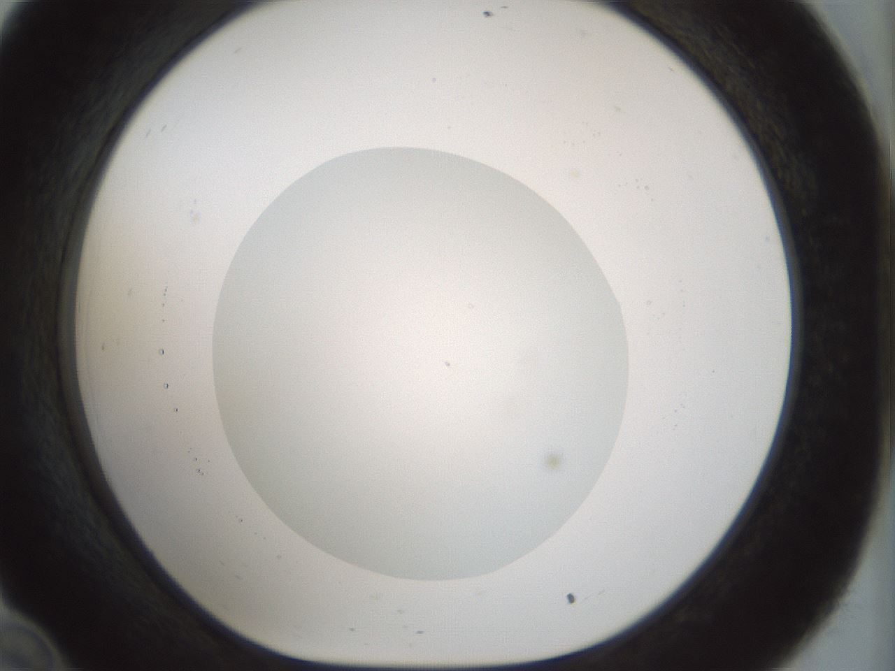 folderID514_plateID1514_batchID5855_wellNum34_profileID1_d1_r96659_ef.jpg