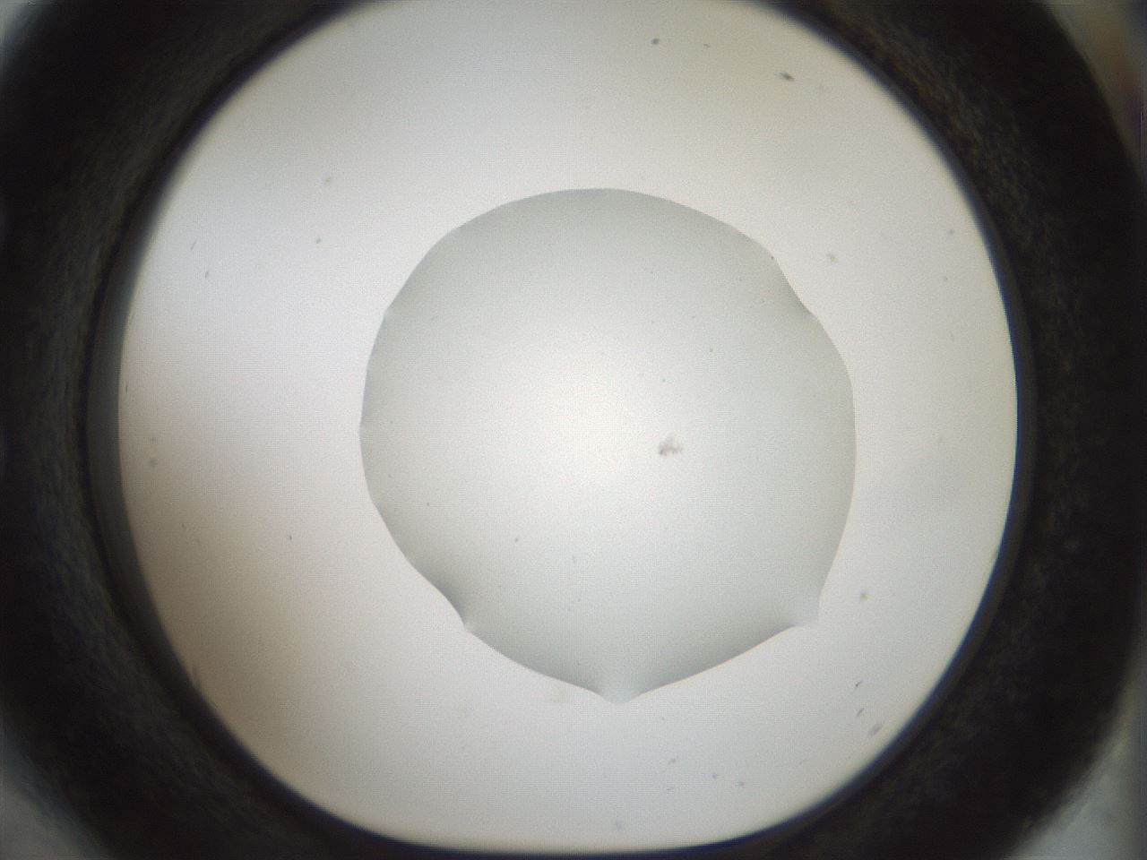 folderID514_plateID1514_batchID5855_wellNum54_profileID1_d1_r96699_ef.jpg