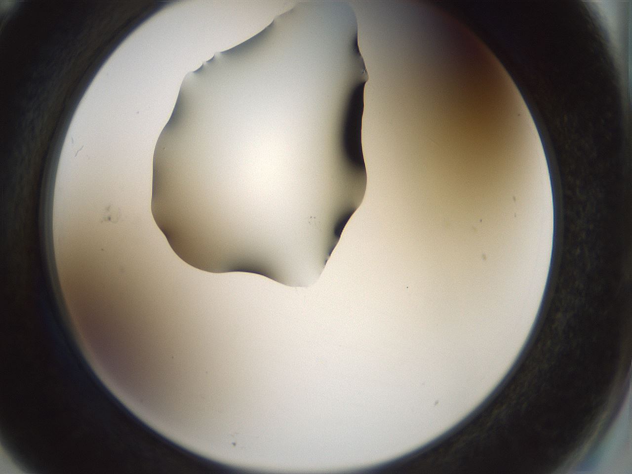 folderID514_plateID1514_batchID5915_wellNum71_profileID1_d2_r96734_ef.jpg
