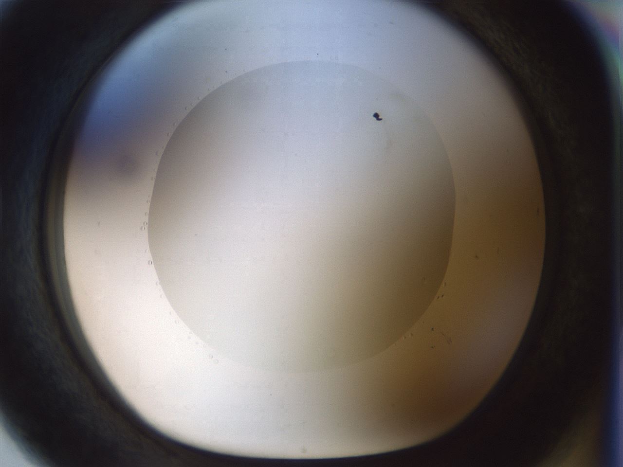 folderID514_plateID1514_batchID5915_wellNum80_profileID1_d1_r96751_ef.jpg