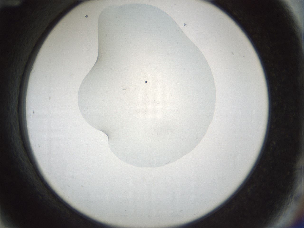 folderID514_plateID1514_batchID5915_wellNum84_profileID1_d2_r96760_ef.jpg