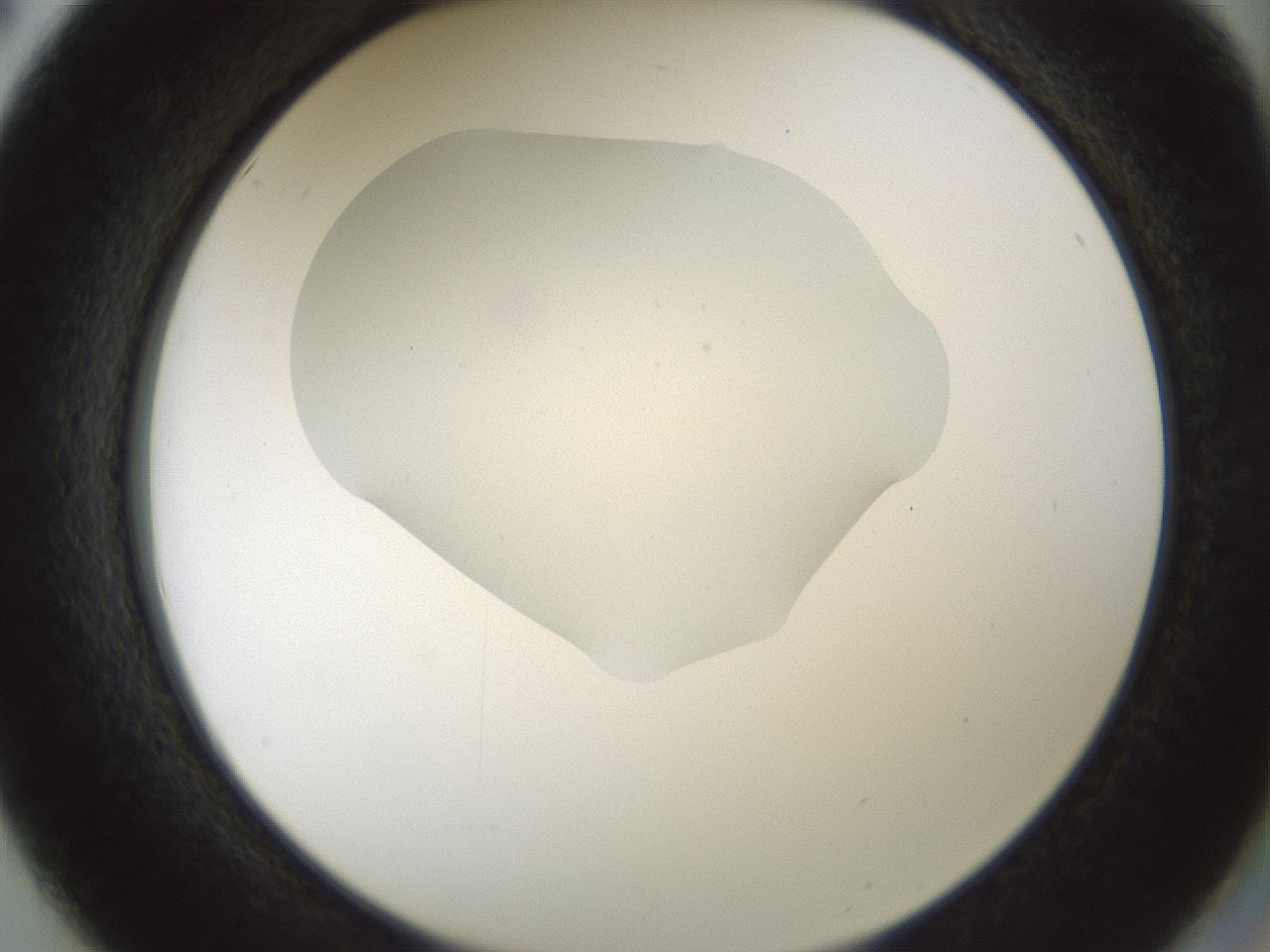 folderID514_plateID1514_batchID5949_wellNum50_profileID1_d2_r96692_ef.jpg