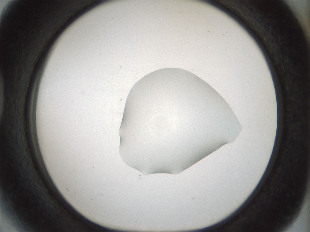 folderID512_plateID1512_batchID5875_wellNum41_profileID1_d1_r95865_ef.jpg