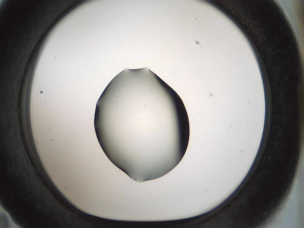 folderID514_plateID1514_batchID5915_wellNum59_profileID1_d1_r96709_ef.jpg