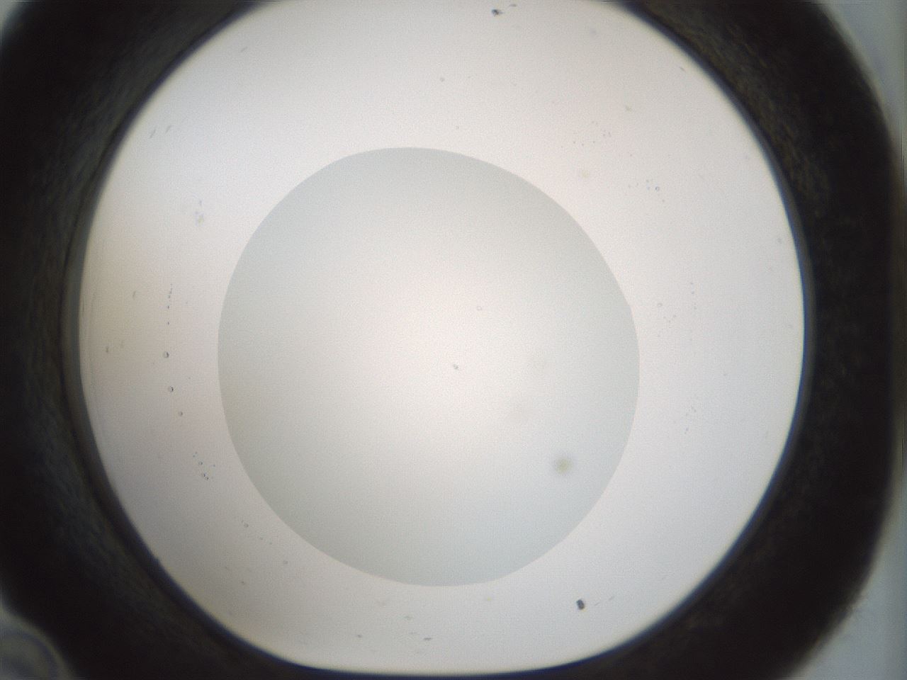 folderID514_plateID1514_batchID5915_wellNum34_profileID1_d1_r96659_ef.jpg