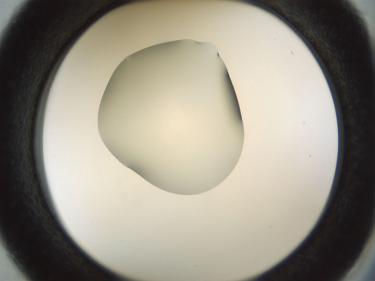 folderID514_plateID1514_batchID5915_wellNum37_profileID1_d2_r96666_ef.jpg