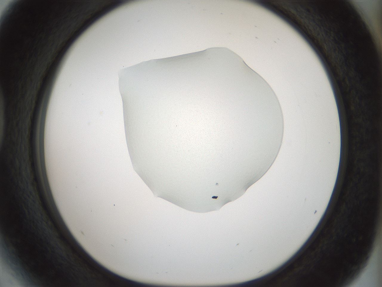 folderID514_plateID1514_batchID5915_wellNum41_profileID1_d1_r96673_ef.jpg