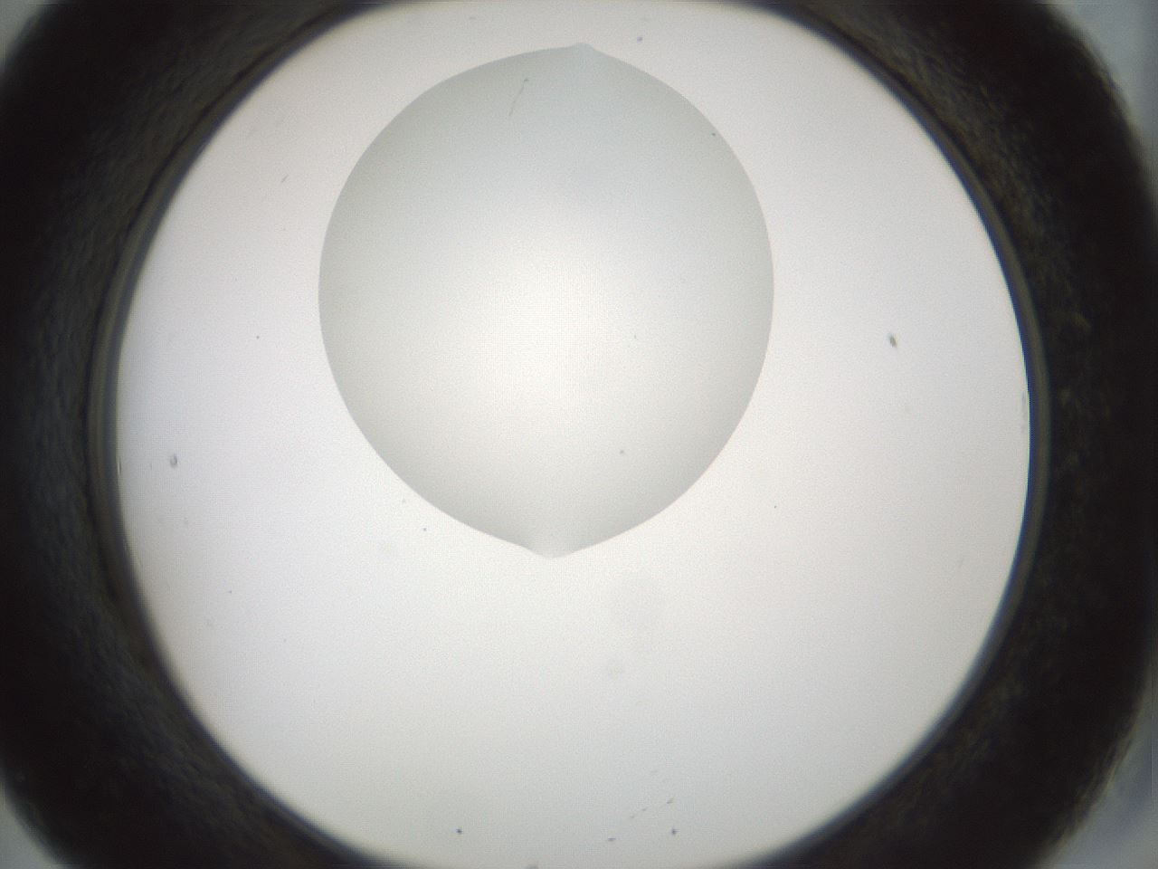 folderID514_plateID1514_batchID5915_wellNum20_profileID1_d2_r96632_ef.jpg