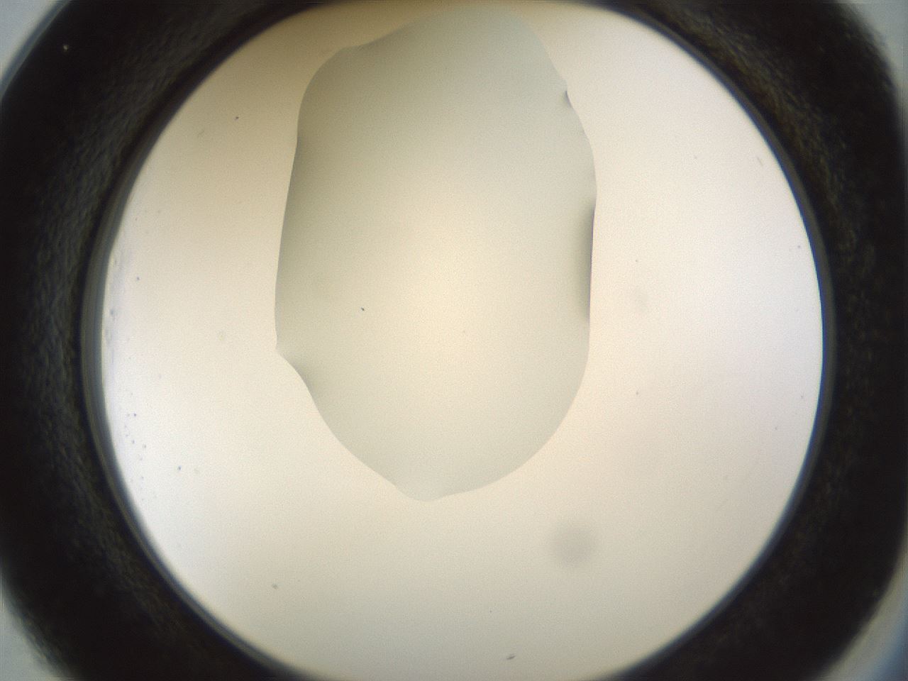 folderID514_plateID1514_batchID5915_wellNum25_profileID1_d2_r96642_ef.jpg