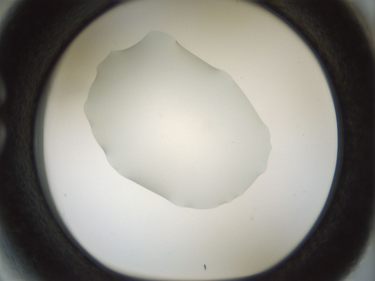 folderID514_plateID1514_batchID5915_wellNum27_profileID1_d1_r96645_ef.jpg