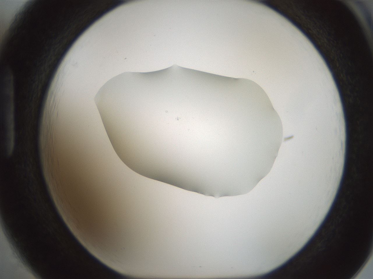 folderID514_plateID1514_batchID5882_wellNum85_profileID1_d1_r96761_ef.jpg