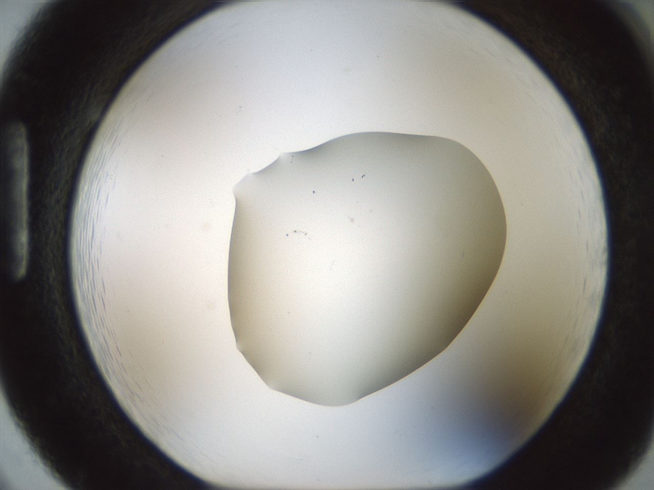 folderID514_plateID1514_batchID5882_wellNum86_profileID1_d1_r96763_ef.jpg