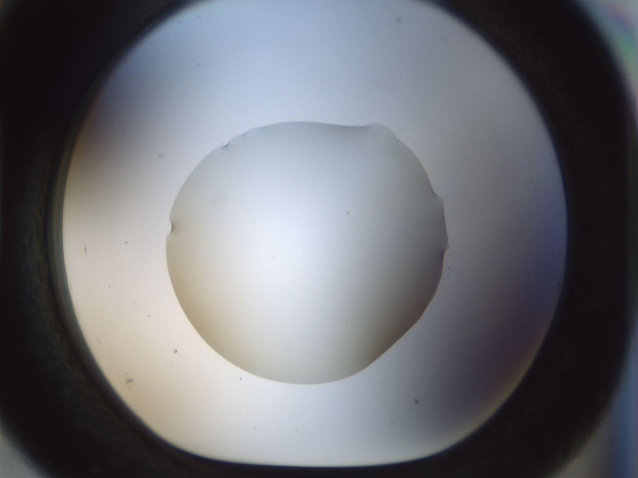 folderID514_plateID1514_batchID5882_wellNum93_profileID1_d1_r96777_ef.jpg