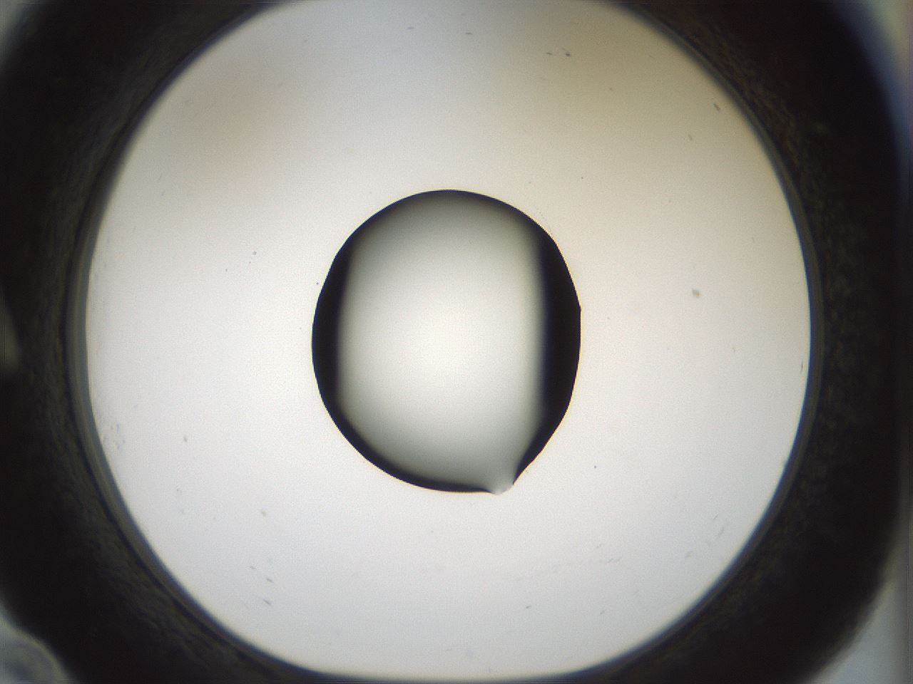 folderID514_plateID1514_batchID5949_wellNum10_profileID1_d1_r96611_ef.jpg