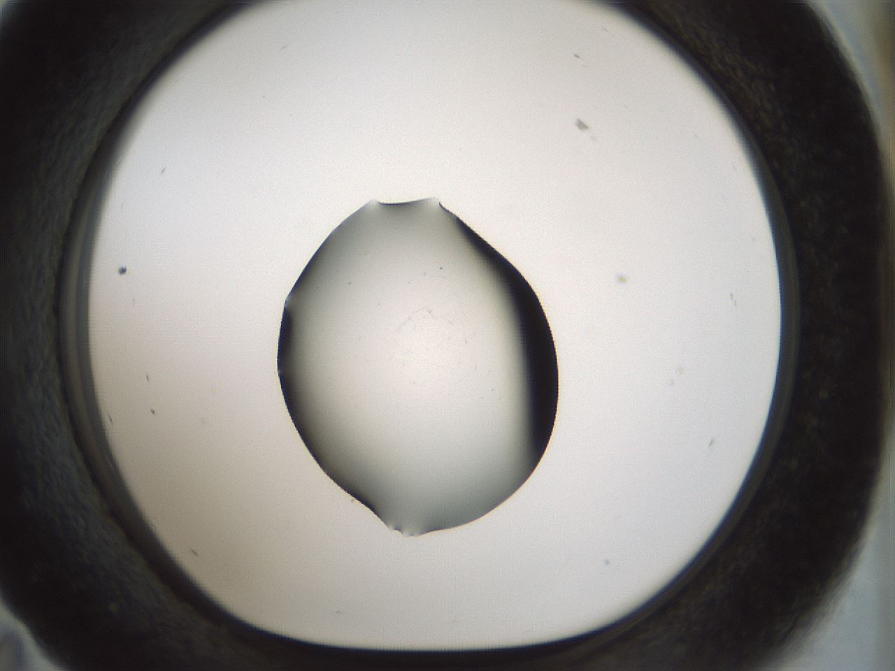 folderID514_plateID1514_batchID5949_wellNum59_profileID1_d1_r96709_ef.jpg